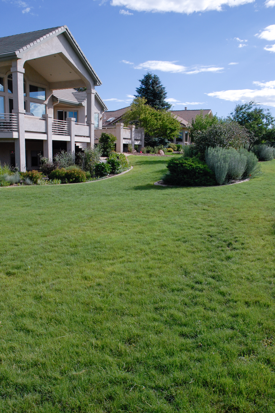 Blue Grama Conversion